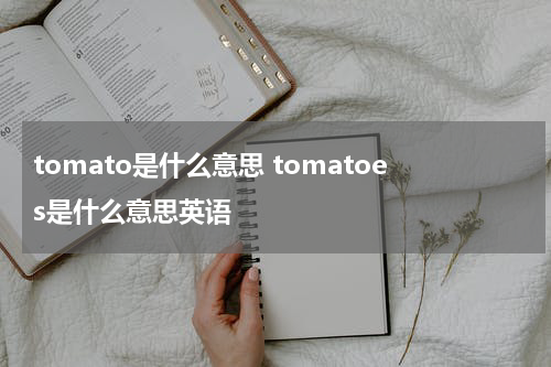 tomato是什么意思 tomatoes是什么意思英语