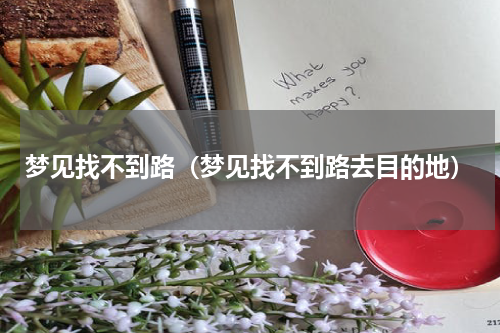 梦见找不到路（梦见找不到路去目的地）