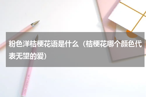 粉色洋桔梗花语是什么(桔梗花哪个颜色代表无望的爱)