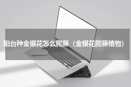 阳台种金银花怎么爬藤（金银花爬藤植物）