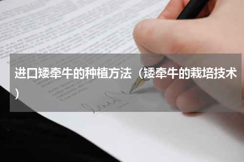 进口矮牵牛的种植方法（矮牵牛的栽培技术）