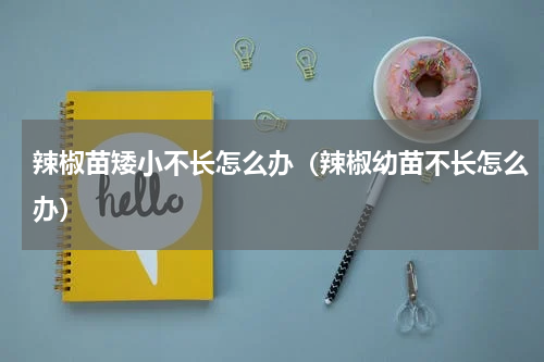 辣椒苗矮小不长怎么办（辣椒幼苗不长怎么办）