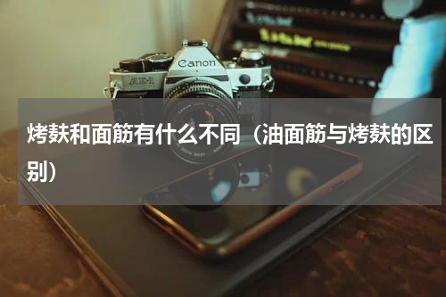 烤麸和面筋有什么不同（油面筋与烤麸的区别）