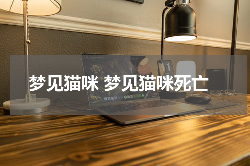 梦见猫咪 梦见猫咪死亡