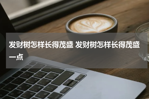 发财树怎样长得茂盛 发财树怎样长得茂盛一点