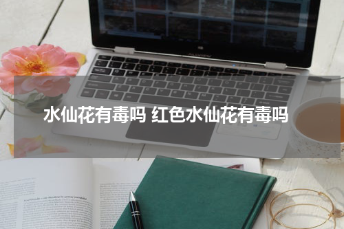 水仙花有毒吗 红色水仙花有毒吗