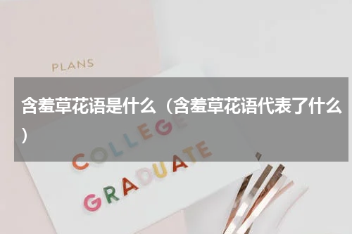 含羞草花语是什么(含羞草花语代表了什么)