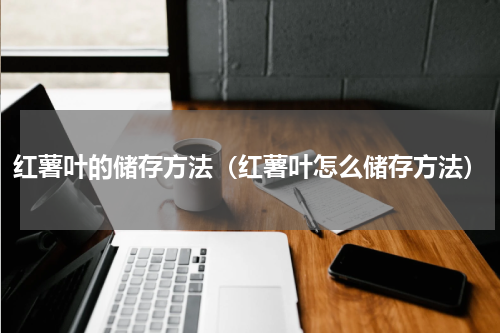 红薯叶的储存方法(红薯叶怎么储存方法)