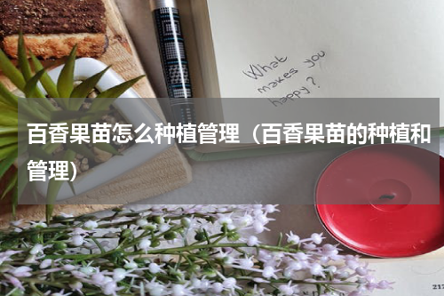 百香果苗怎么种植管理（百香果苗的种植和管理）