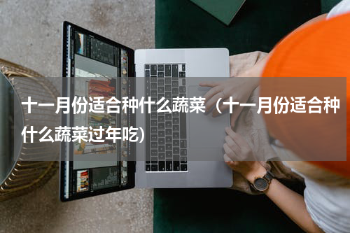 十一月份适合种什么蔬菜(十一月份适合种什么蔬菜过年吃)