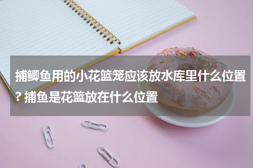 捕鲫鱼用的小花篮笼应该放水库里什么位置? 捕鱼是花篮放在什么位置