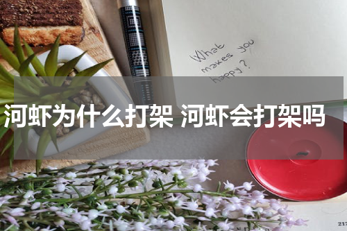 河虾为什么打架 河虾会打架吗