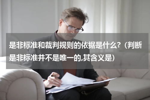 是非标准和裁判规则的依据是什么?（判断是非标准并不是唯一的,其含义是）