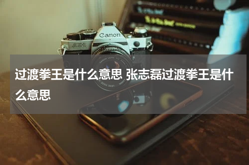 过渡拳王是什么意思 张志磊过渡拳王是什么意思