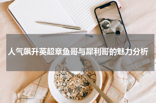 人气飙升英超章鱼哥与犀利哥的魅力分析