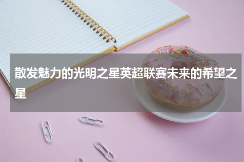 散发魅力的光明之星英超联赛未来的希望之星