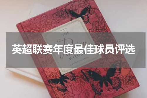 英超联赛年度最佳球员评选