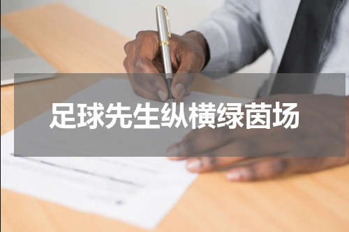 足球先生纵横绿茵场