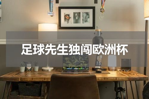 足球先生独闯欧洲杯